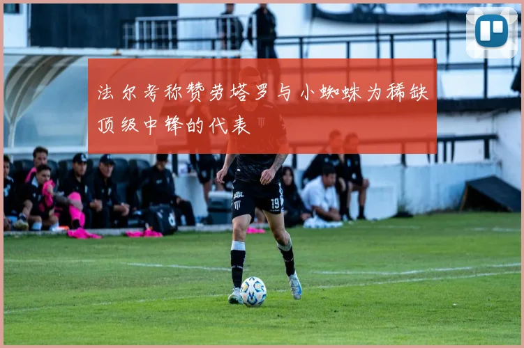 法尔考称赞劳塔罗与小蜘蛛为稀缺顶级中锋的代表